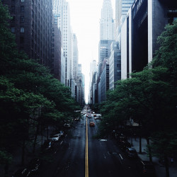 white-and-red-car-on-black-concrete-narrow-road-in-between-129830-2