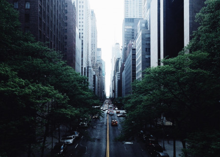 white-and-red-car-on-black-concrete-narrow-road-in-between-129830